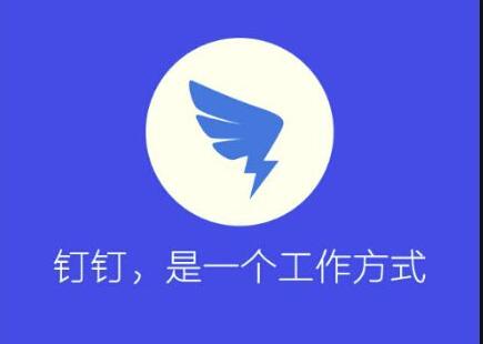 釘釘.jpg